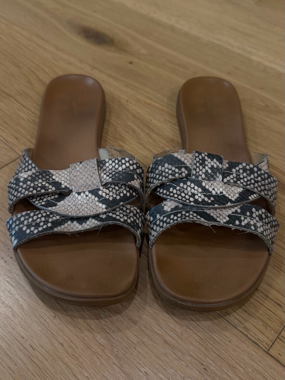 Universal Thread Snake-Print Slide Sandals - Picture 4 of 5